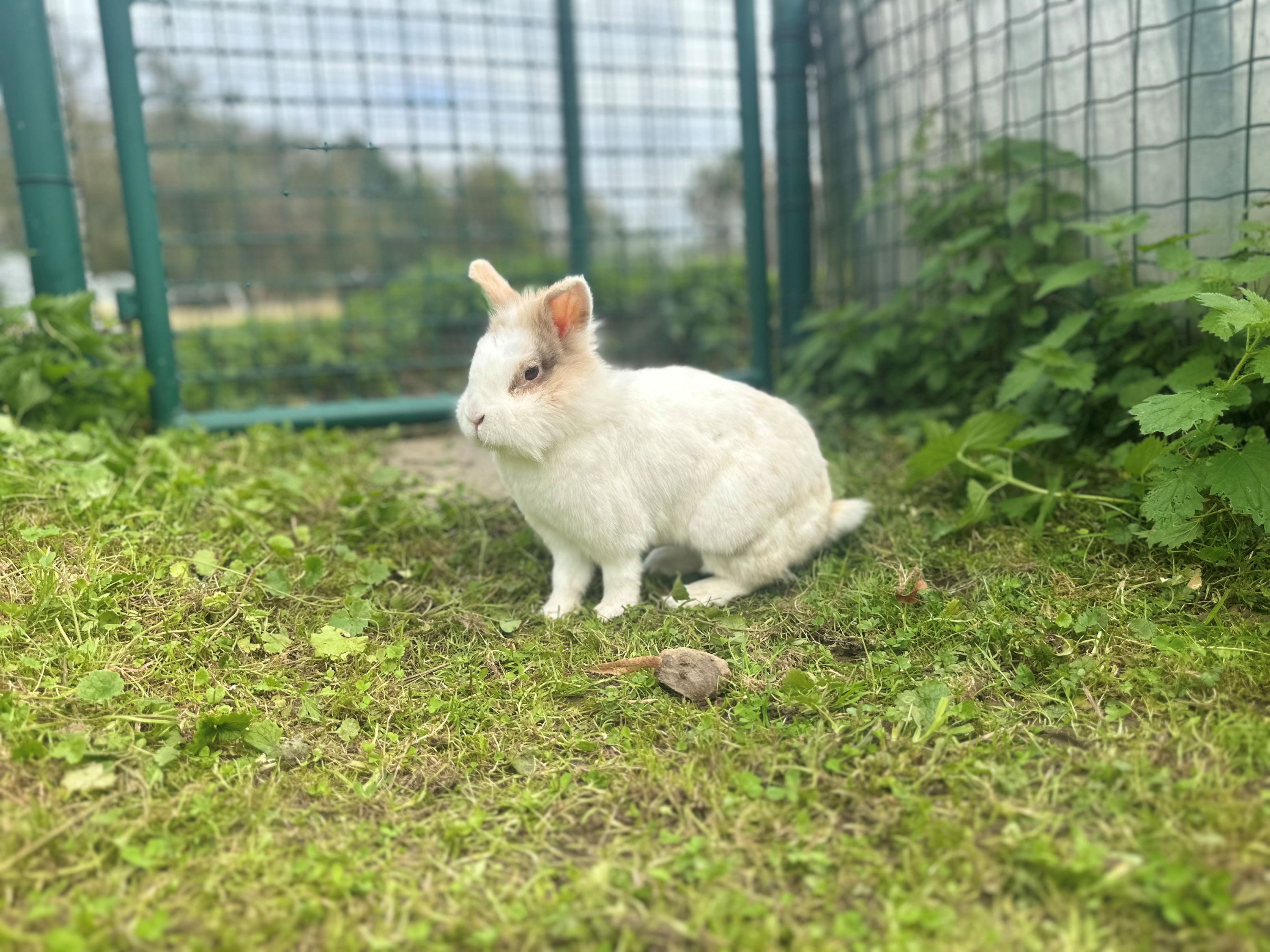 Frau Schmitz – Tierheim Wipperfürth