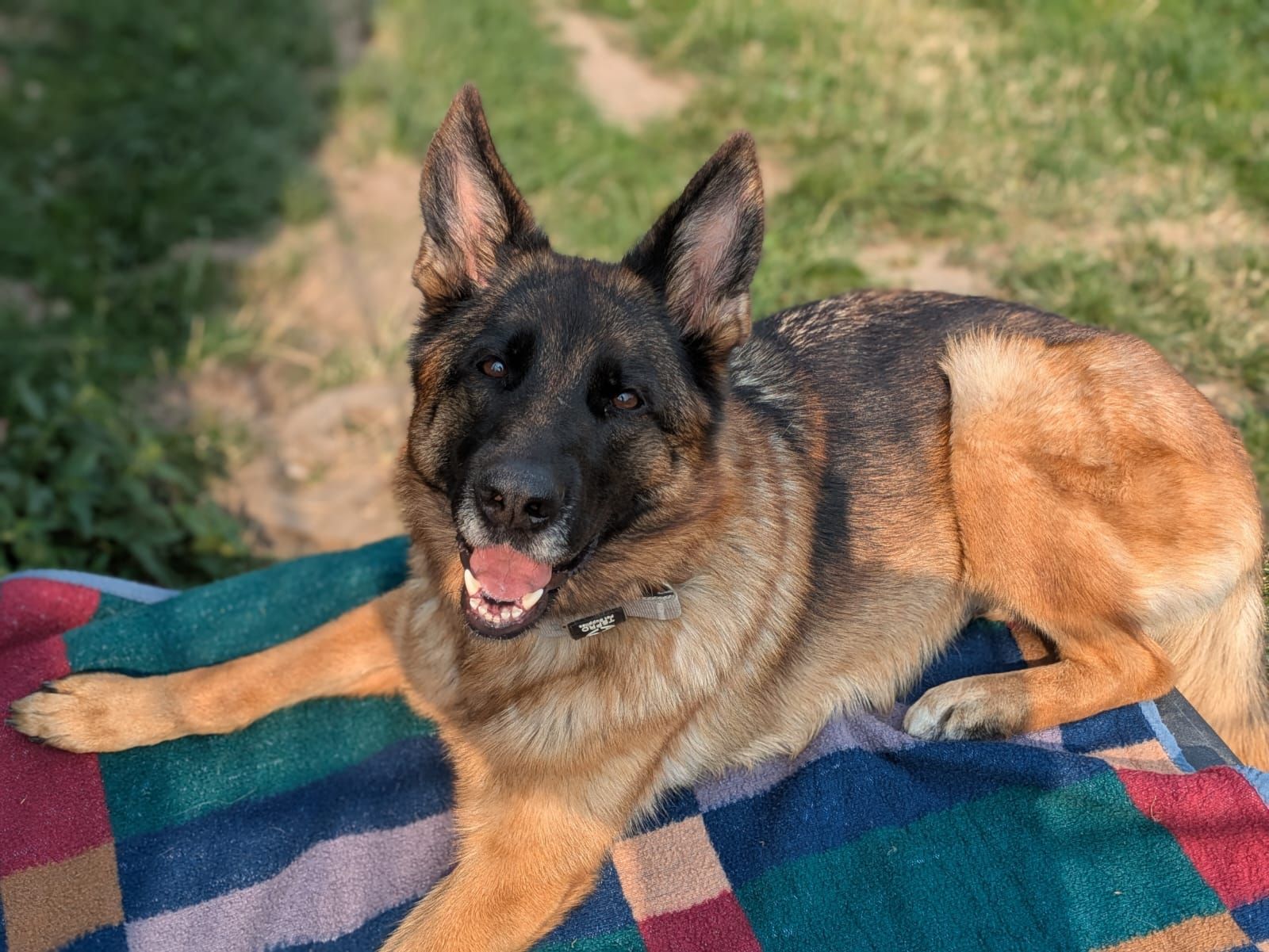 Gina