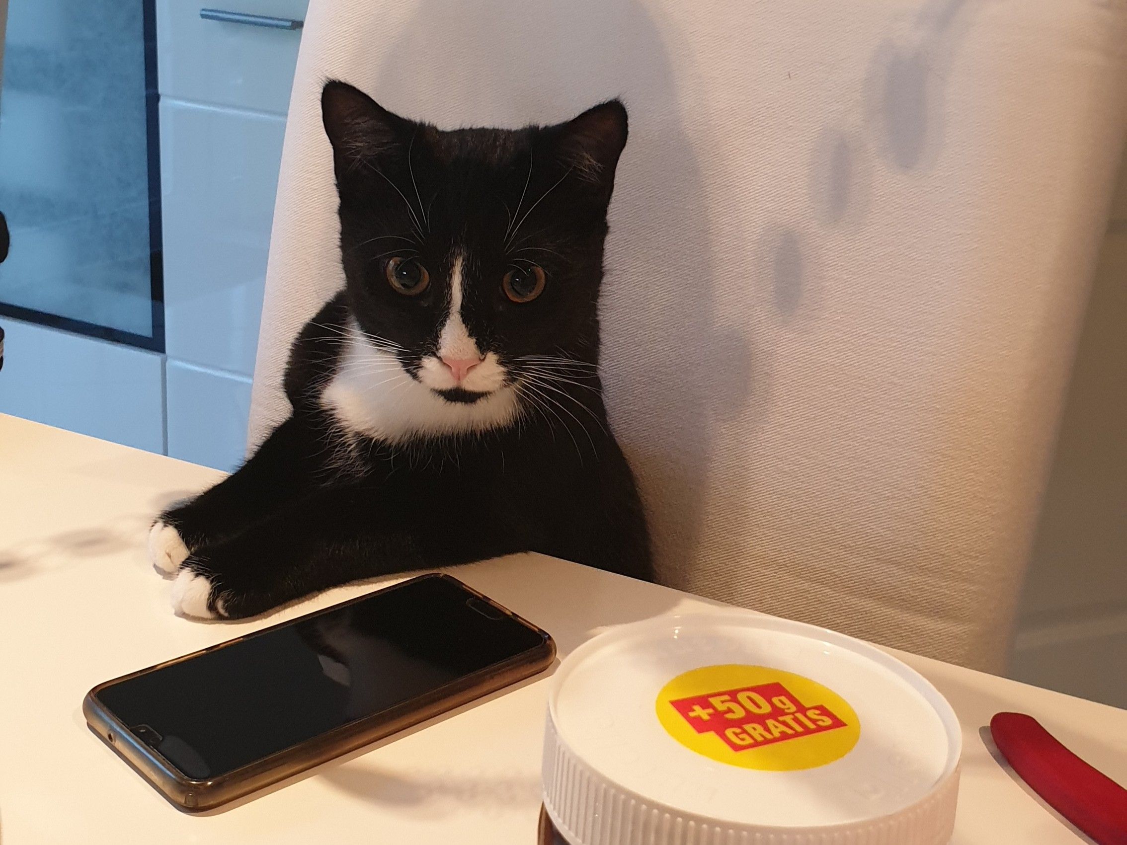 Milo