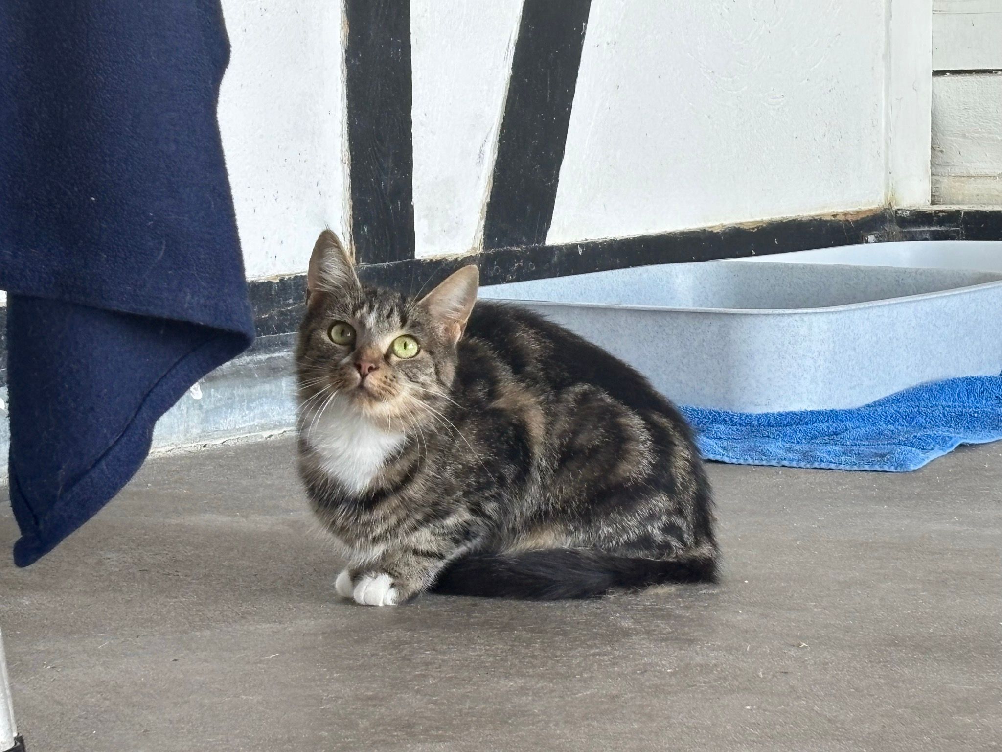 Tina