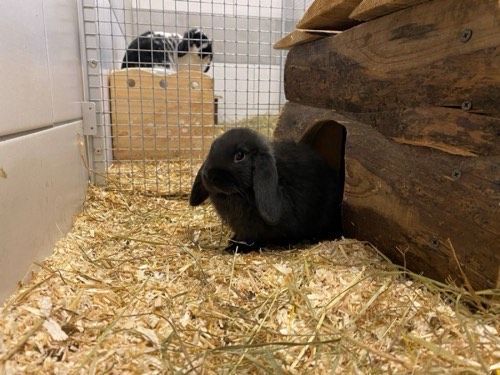 Krümelchen
