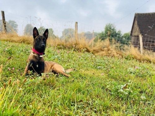 Max
