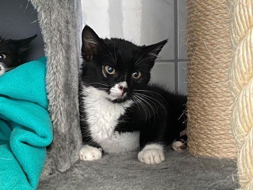 Sebastian
