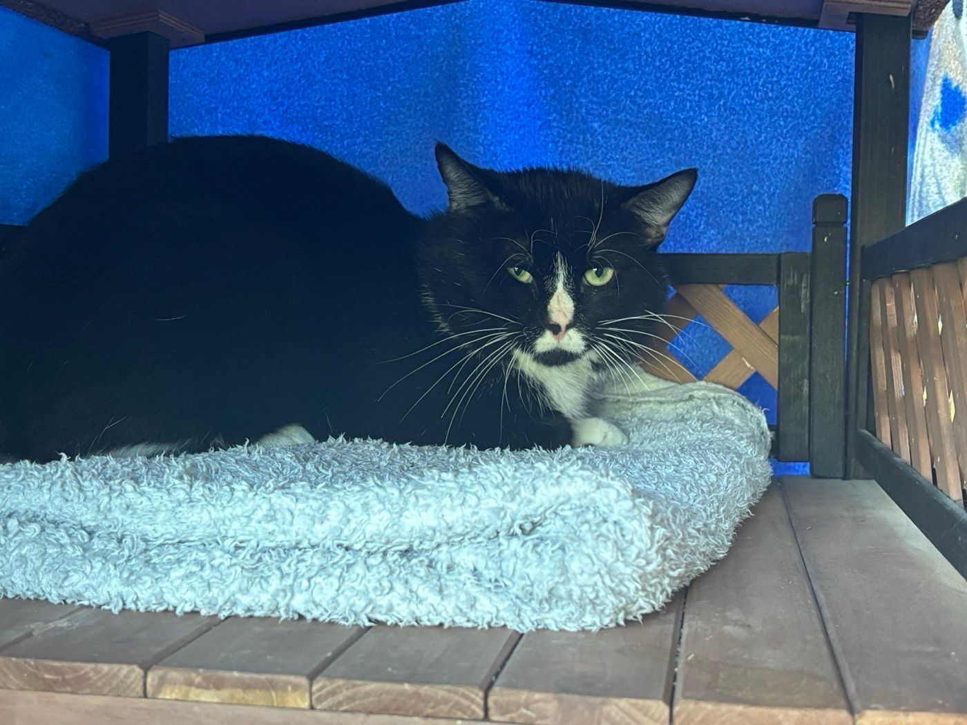 Fundkater aus Wipperfürth - Langenblick
