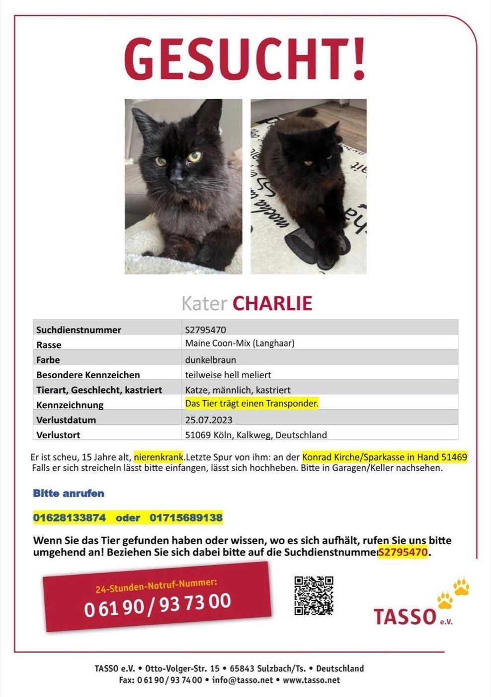 Vermisst wird Charlie