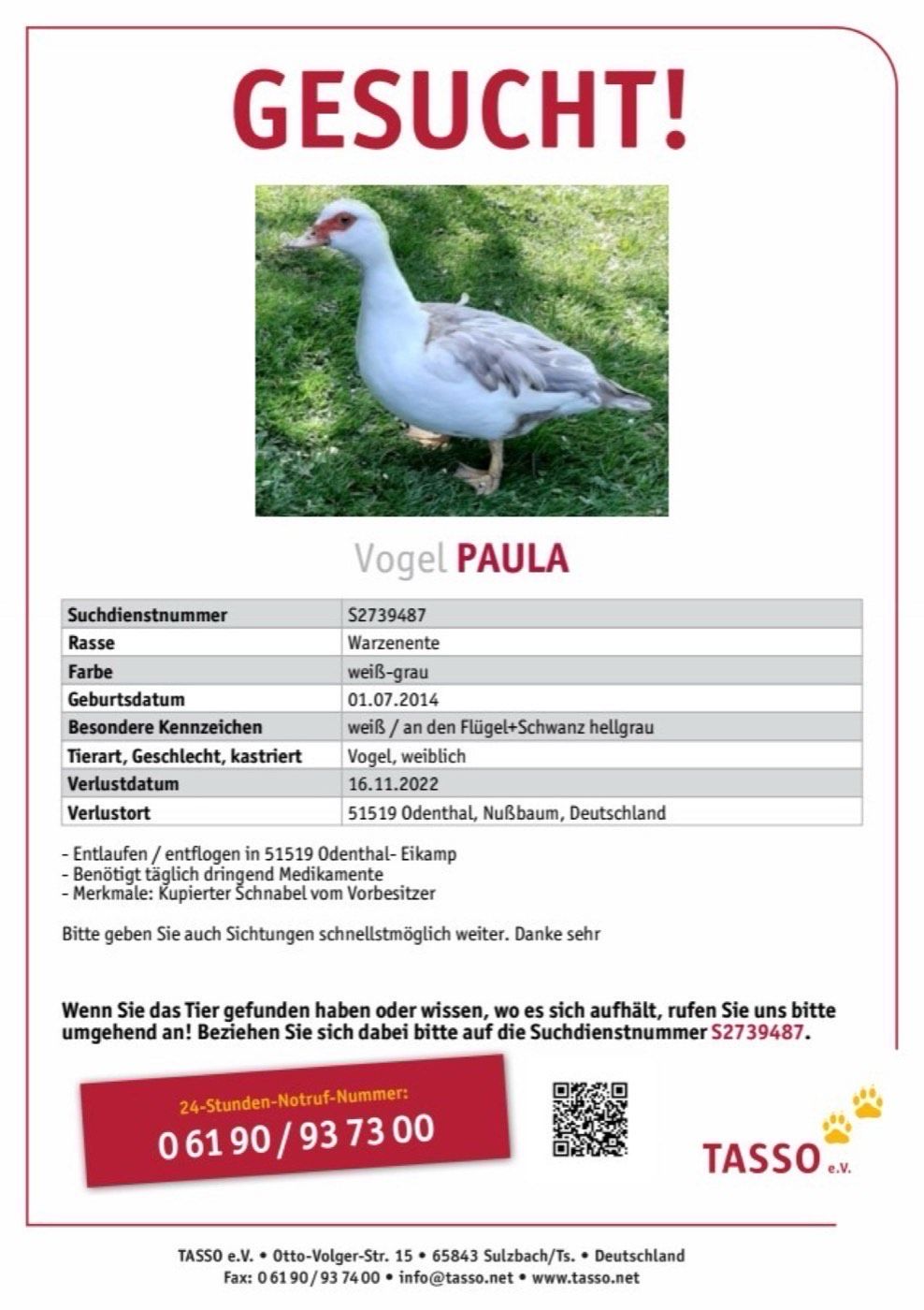 Vermisst wird Ente Paula