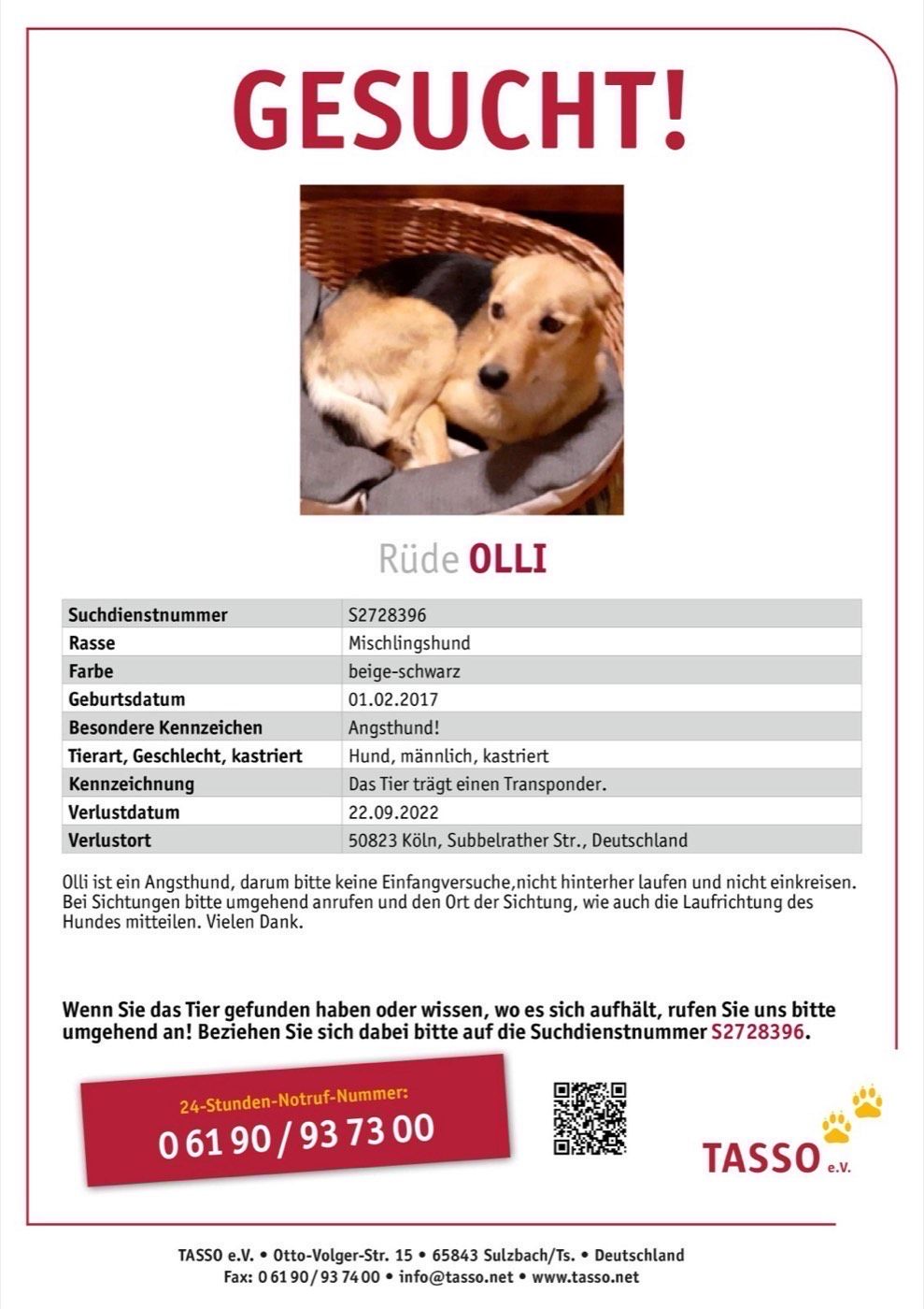 Vermisst wird Hund Olli