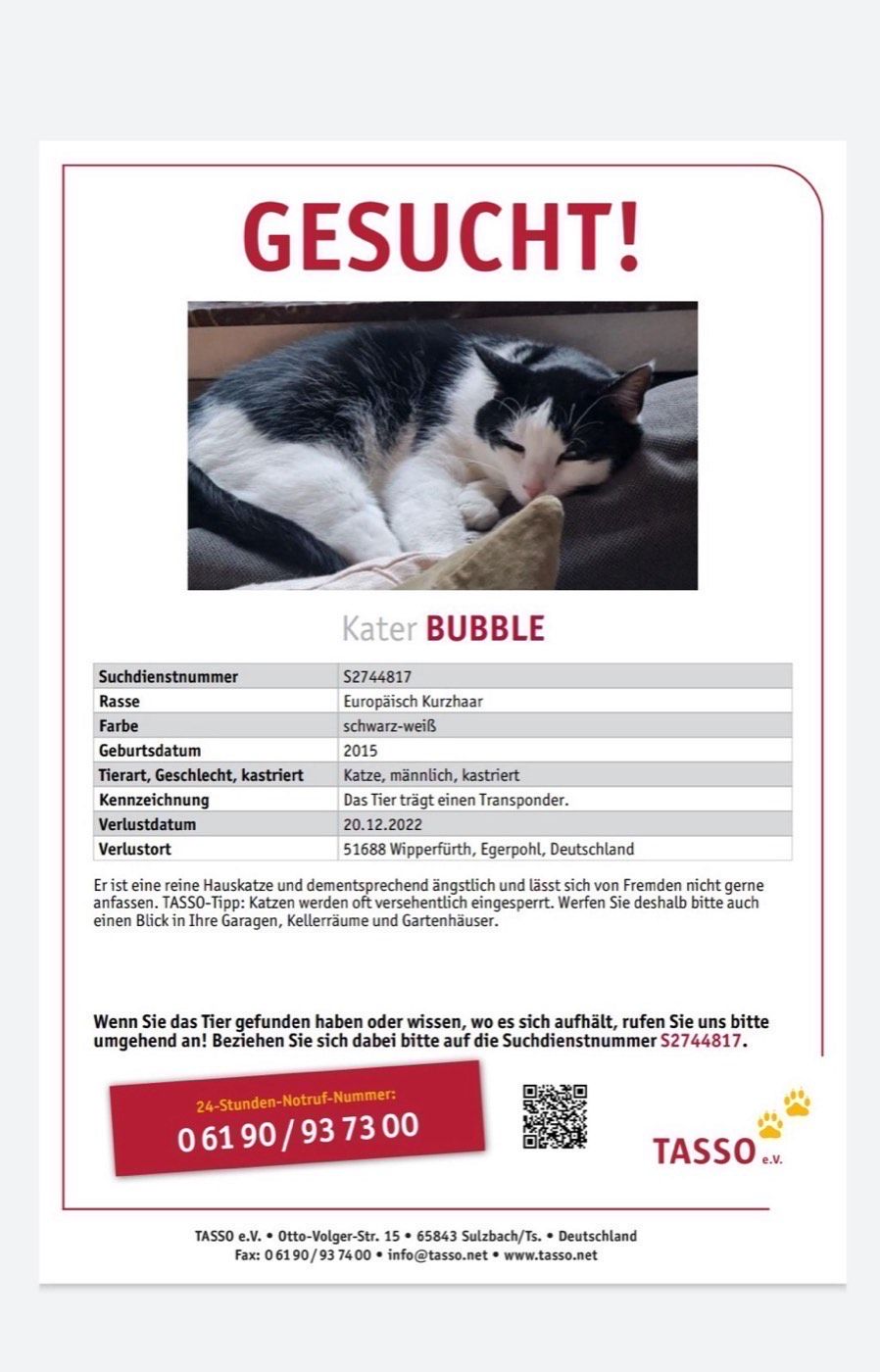 Vermisst wird Kater Bubble