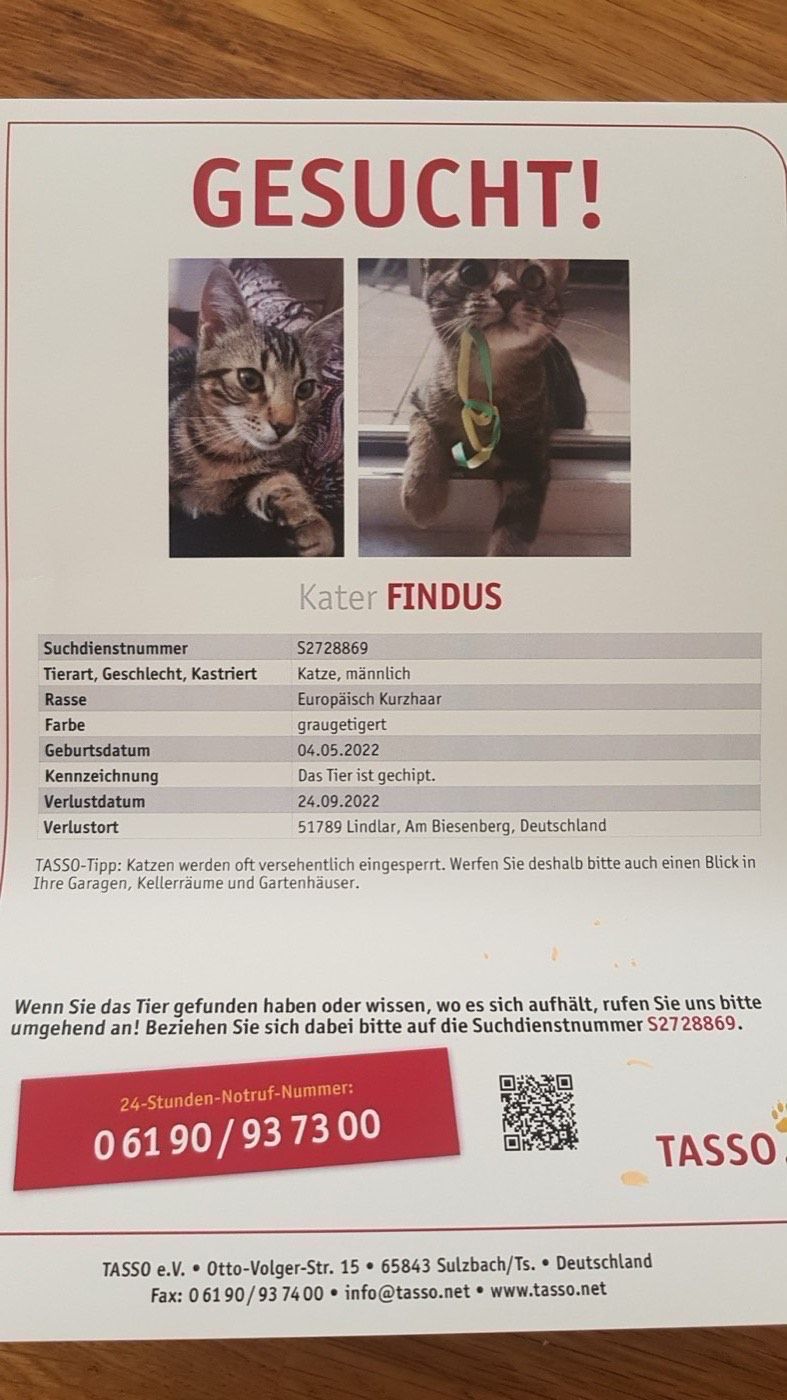 Vermisst wird Kater Findus