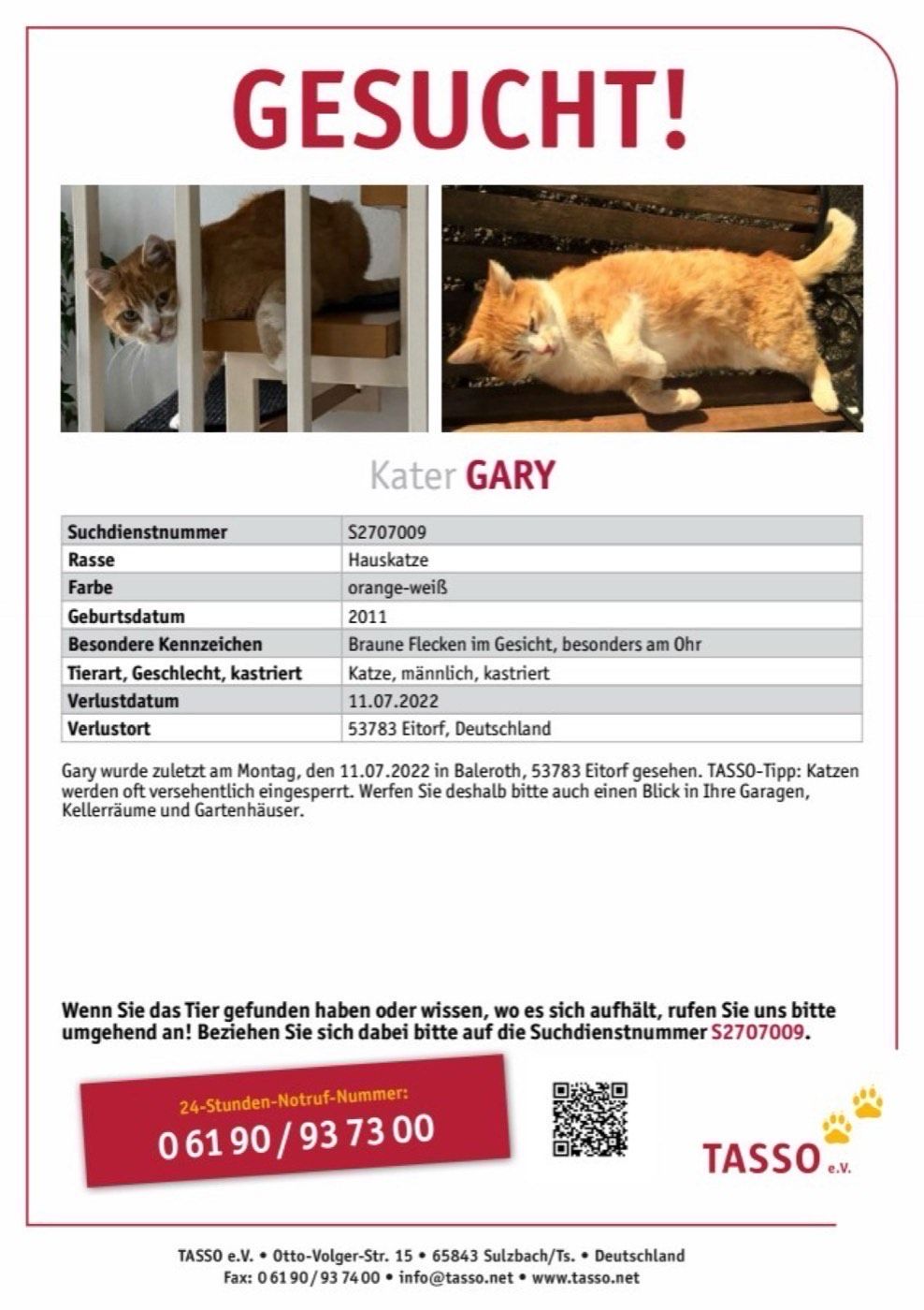 Vermisst wird Kater Gary
