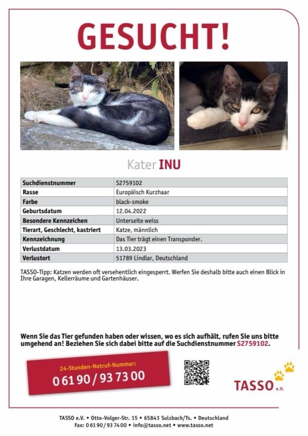 Vermisst wird Kater Inu