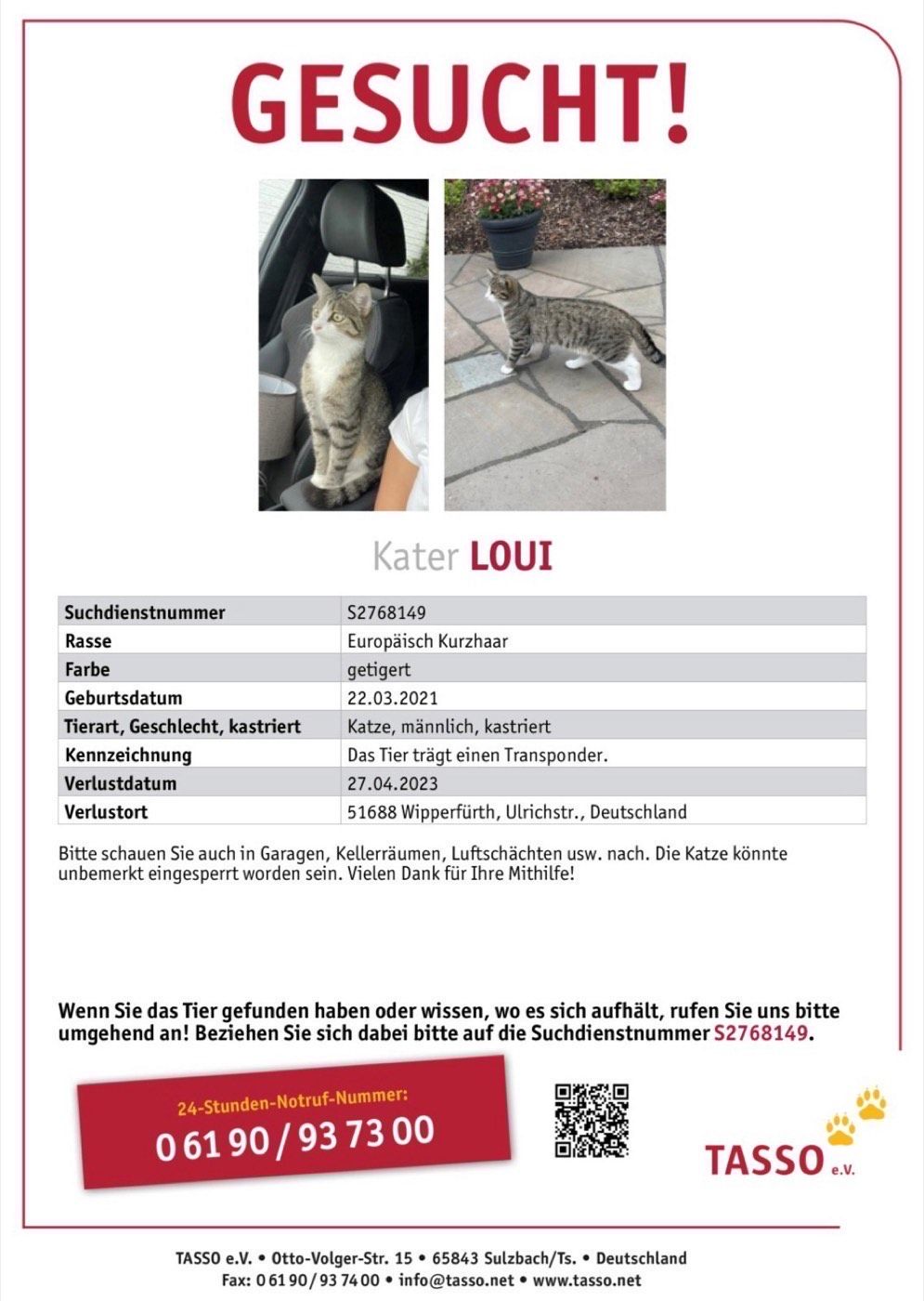 Vermisst wird Kater Loui