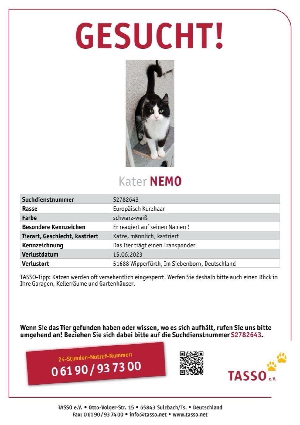 Vermisst wird Kater Nemo