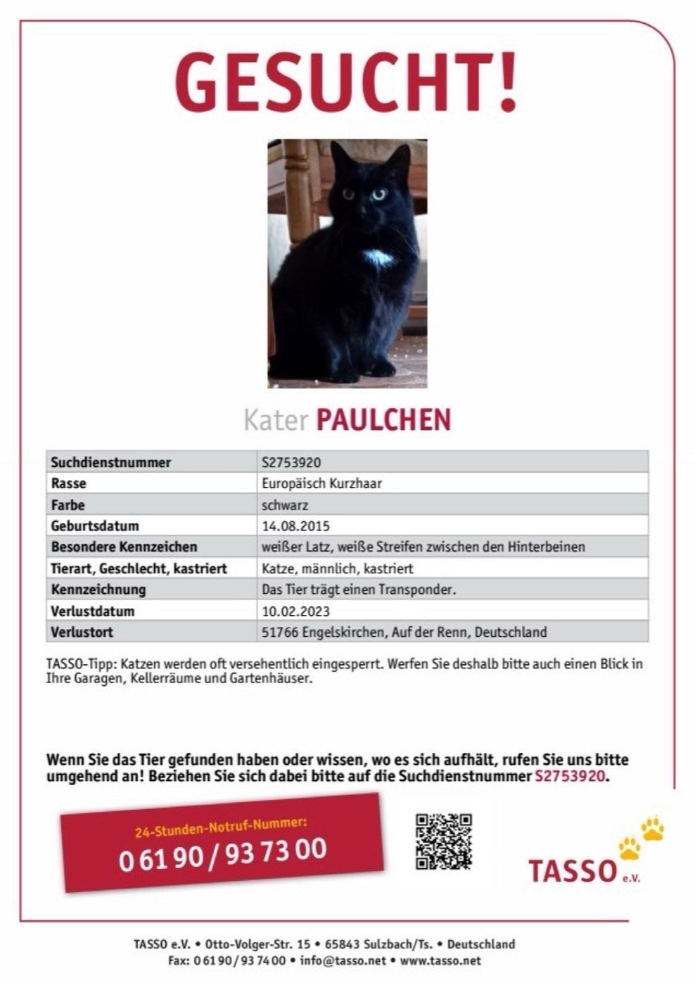 Vermisst wird Kater Paulchen