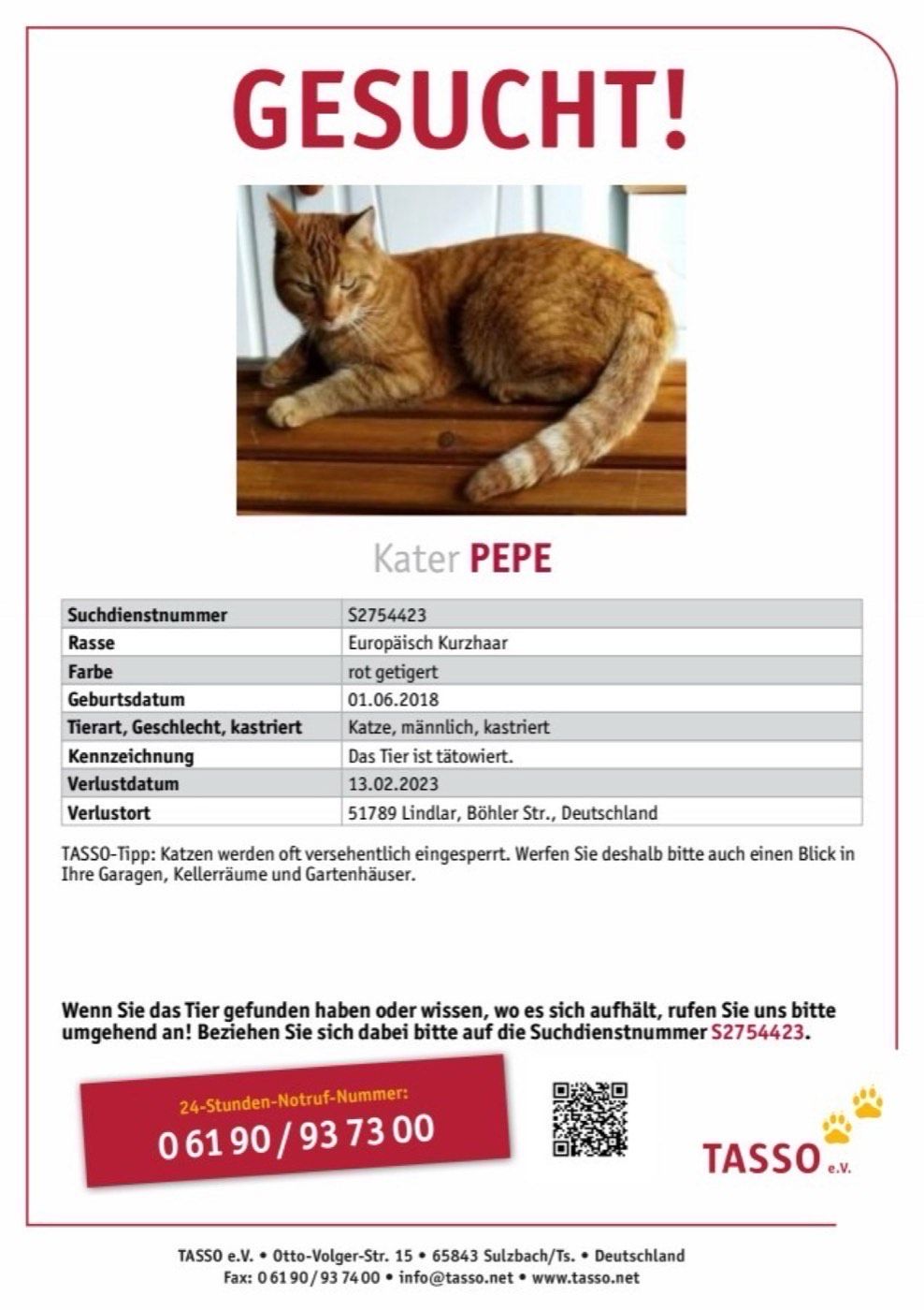 Vermisst wird Kater Pepe