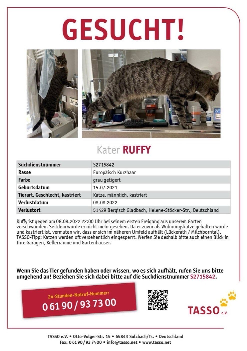 Vermisst wird Kater Ruffy