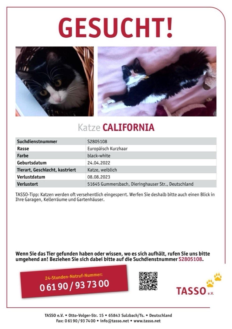 Vermisst wird Katze California