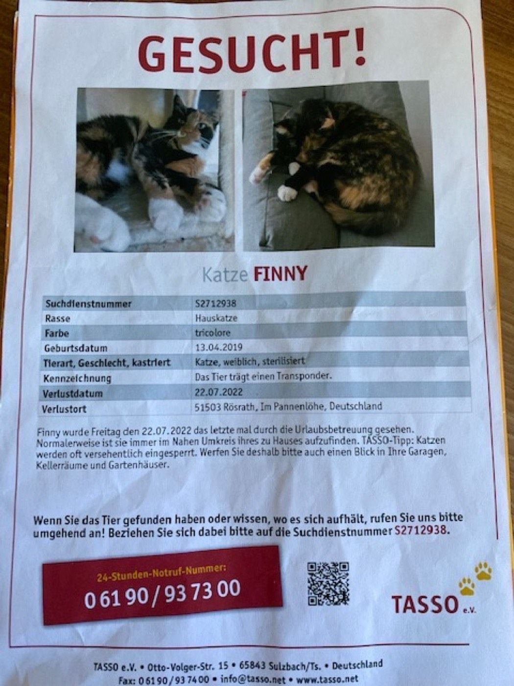 Vermisst wird Katze Finny