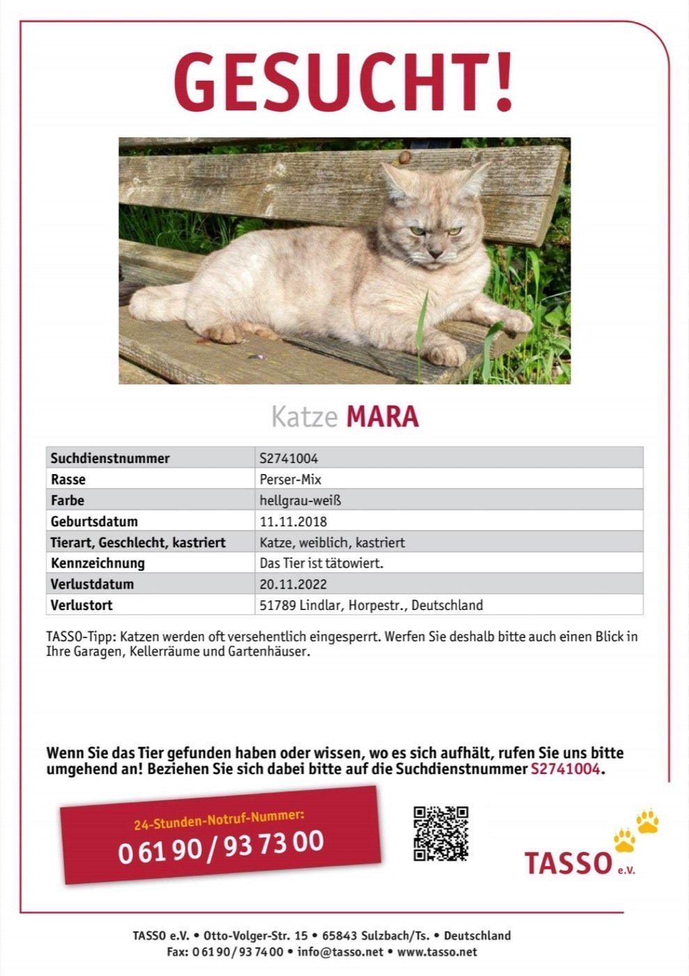 Vermisst wird Katze Mara