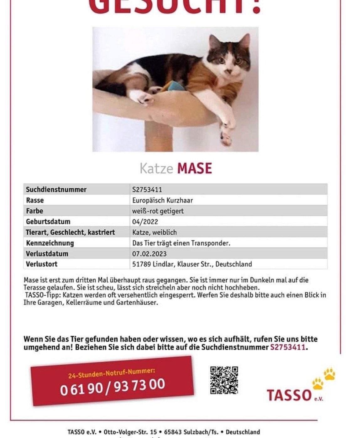 Vermisst wird Katze Mase