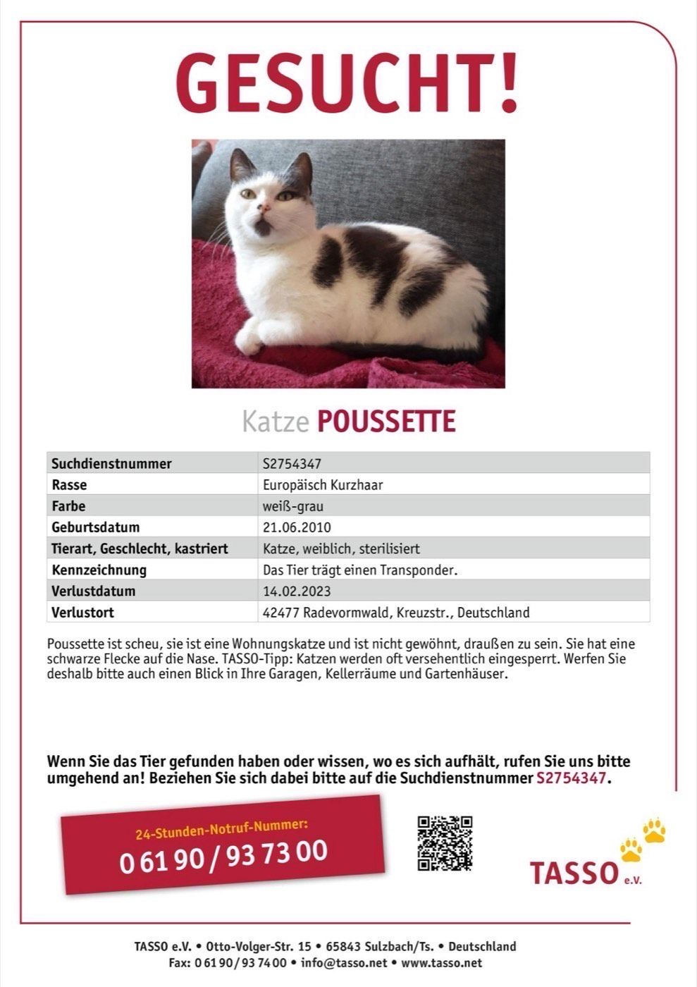 Vermisst wird Katze Poussette