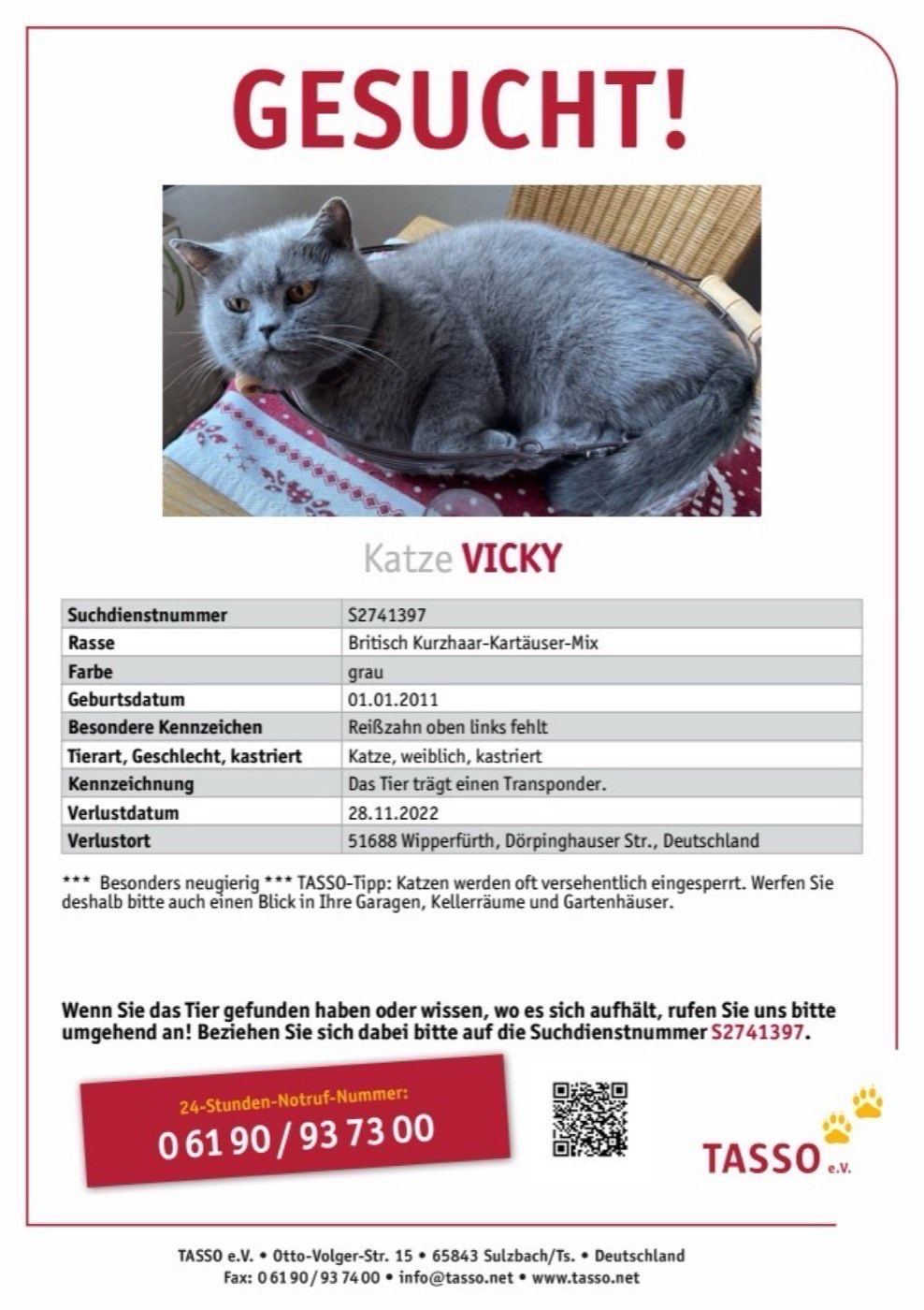 Vermisst wird Katze Vicky