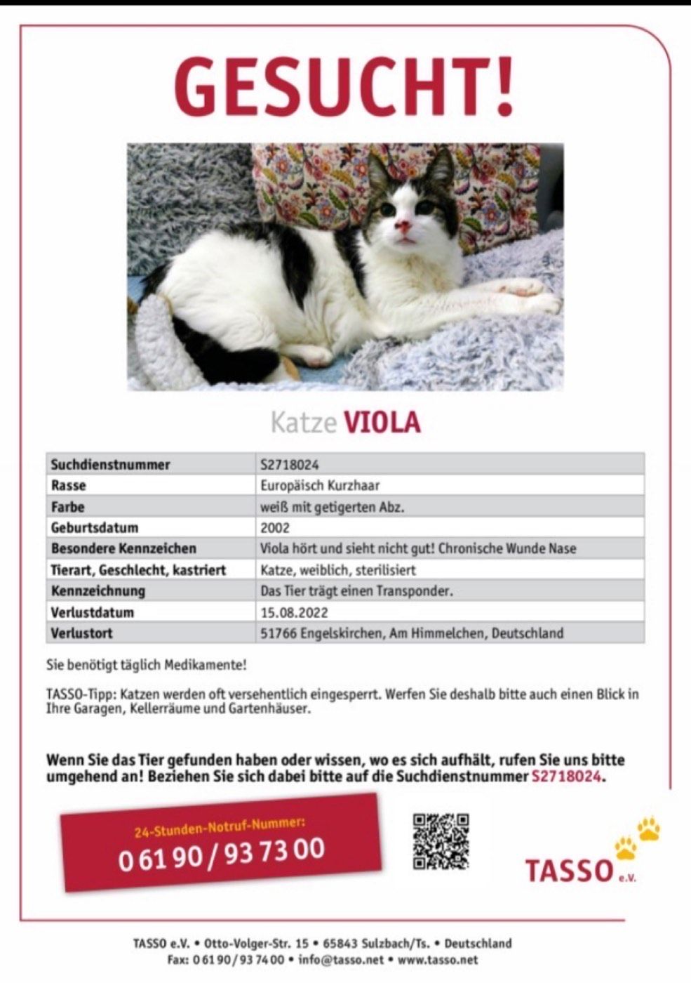 Vermisst wird Katze Viola