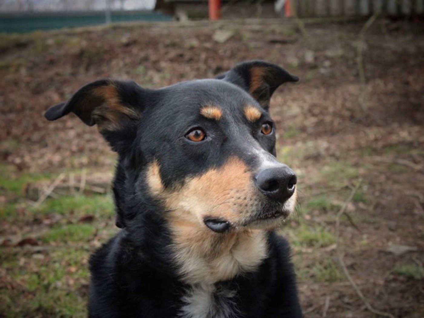 Ben
