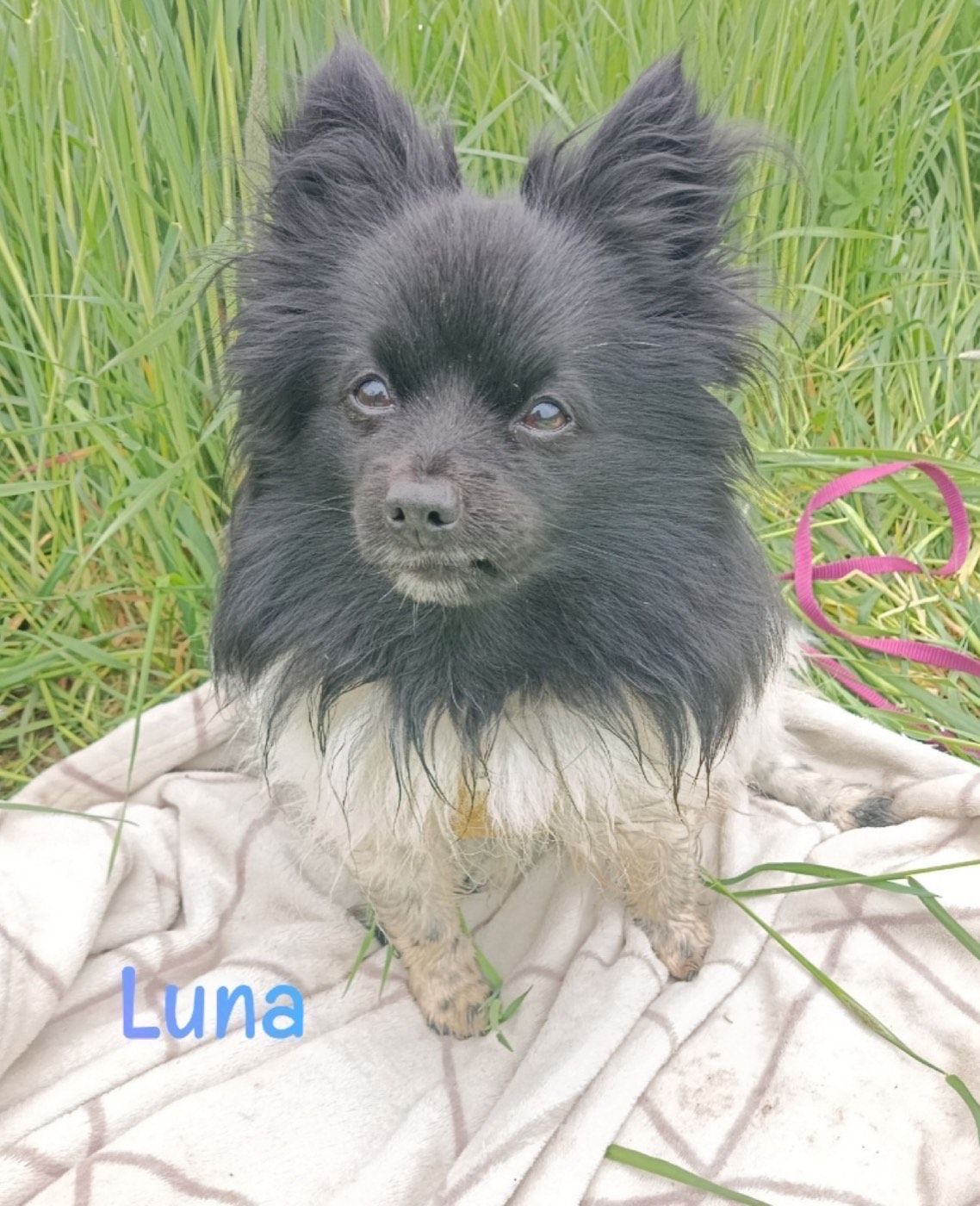 Lilly und Luna