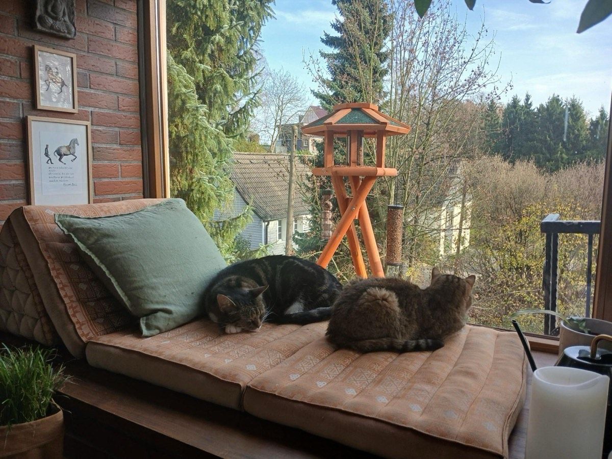 Vermitteltes Tier