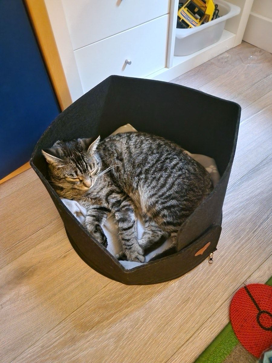 Vermitteltes Tier