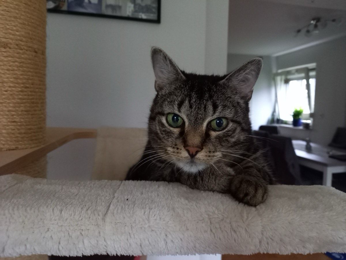 Tito