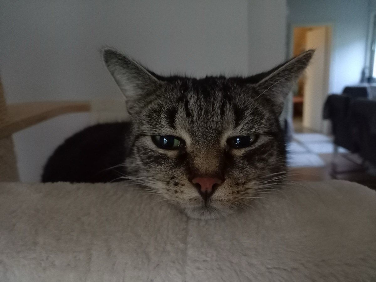 Tito